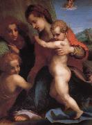 Andrea del Sarto The Virgin and Child with St. John childhood, as well as two angels France oil painting artist